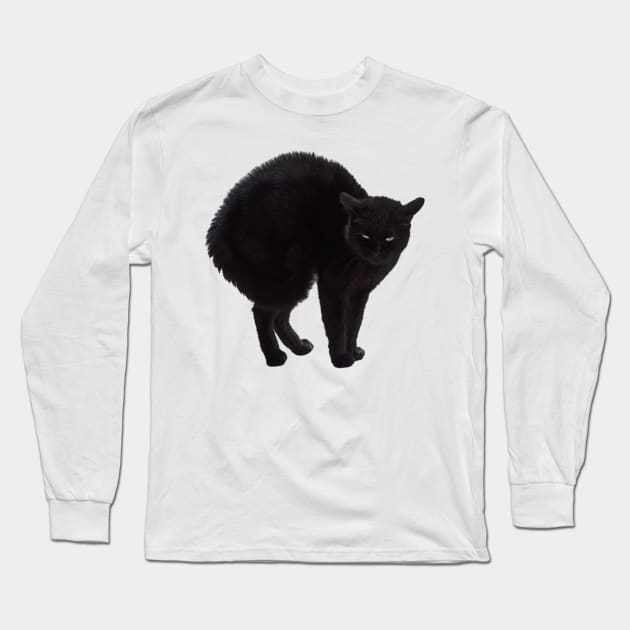 Black Cat, Witch's Familiar Long Sleeve T-Shirt by alsoCAN